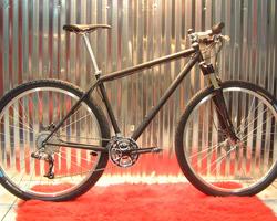 Mountain Bike